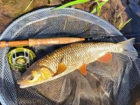 TOP Tips Of CzechNymph Ambassadors For Summer Fly Fishing