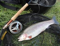After all possible tested methods and fishing tactics, a nice rainbow took my fly and here is in my net. This fish means motivation for my further efforts!