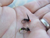 A successful pair of small wet flies AR Hot Head Peacock Spider & AR Badger Green Tag Stick Fly slowly retrieved on a subsurface hover fly line!