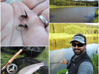 "On The Water" - A Typical "Dog Day" On Still Water