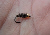 Fly Fishing For Grayling - The Best Grayling Flies - Article