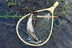 Fly Fishing For Grayling - Tackle & Equipment For Grayling Fishing - Article
