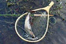Fly Fishing For Grayling - Tacle & Equipment - Article
