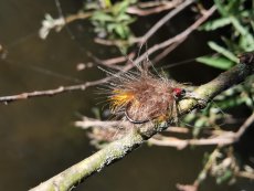 "Od vody" - Kdy to nejde na Rockerku