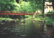 Muškaření na Karlovarsku