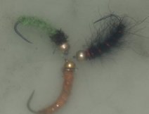 Flies in slightly cloudy water