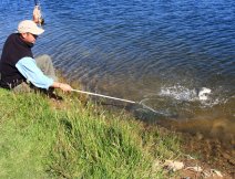 A feisty fish nears the net