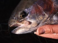 When Less Becomes More