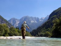 Fly Fishing Rivers In Slovenia