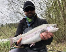 Tactics & Techniques For Stillwater Trout - Article