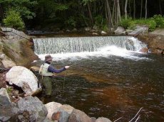 Karlovarsko 2004 (Rolavas Rolling Stones)