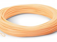 Elements to Assess Fly Lines