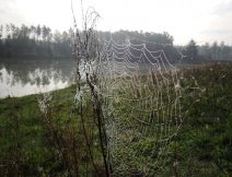 A charming morning from one of the many pike hunts during Indian summer.
