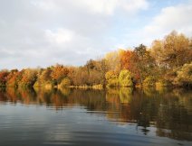 Just because of such a view, it pays to go out on the water! And if you manage to catch a nice pike or perch, then it is even more beautiful in that world!