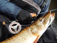 Pike On The Fly