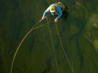 Overview of Scientific Anglers Fly Lines – Which One to Choose?