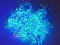 Nuclear Nymph Dubbing With UV Effect