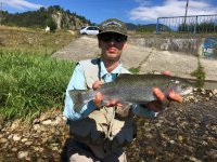 TOP 10 Flies For River Rainbow Trout