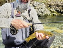 Fly Rod PRIMAL Zone In Action!