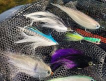 The main representatives of saltwater streamers, whose use extends beyond our conditions when catching large predatory fish on dam reservoirs, sand pits and non-trout coarse rivers!