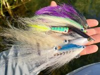 Why & How To Fish With Saltwater Streamers On Freshwater