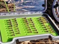 TOP River Nymphs Of Vojta Ungr