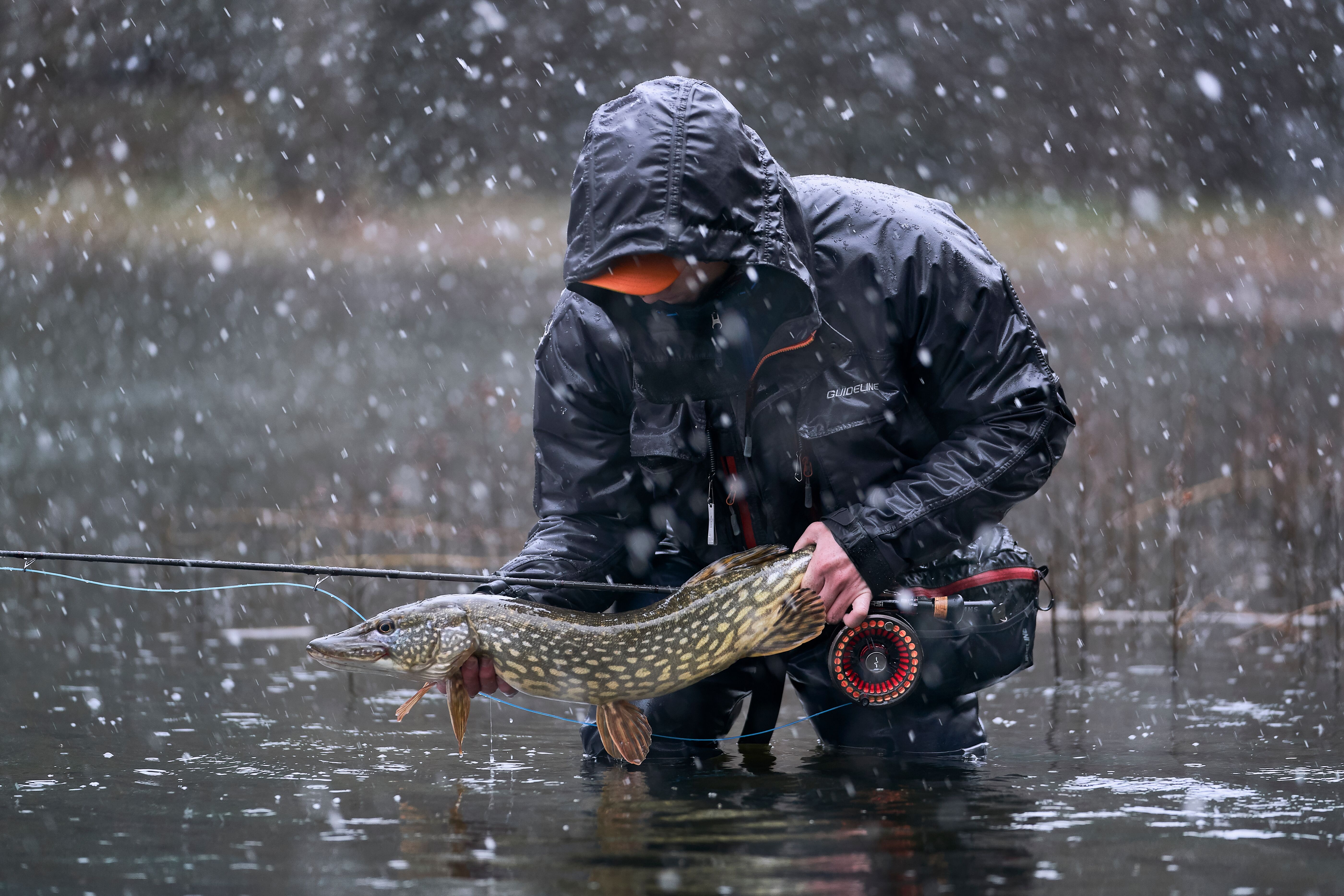 Pike Fly Fishing, Fly Fishing For Predators