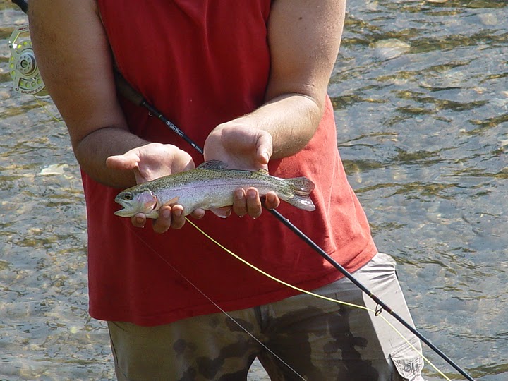 Imminent Alarming Adjustable Fly Fishing In Israel??? | CzechNymph.com