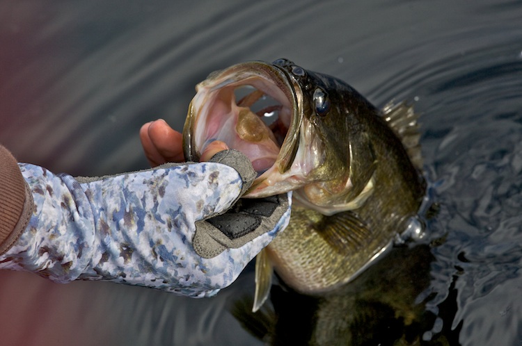 Fishing Angler 2 Gloves protection comfort for fishing 35%OFF! Buff® Pro Series 