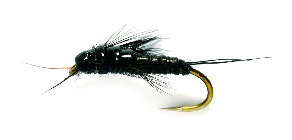 Little Black Stonefly - Fly Angler's OnLine Volumn 10 week 48