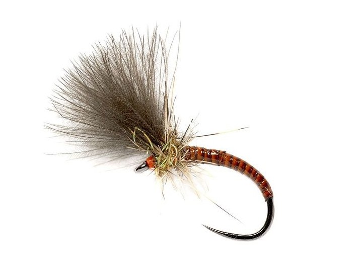 Quill CdC Emerger Orange | CzechNymph.com