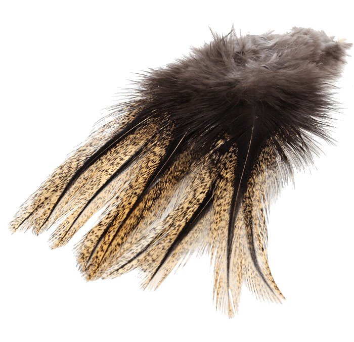 thumbnail image 2 of Spirit River UV2 Coq De Leon Perdigon Fire Tail Feathers – 12-Pack For Fly Tying, 4.5"-7.5" 2 of 3