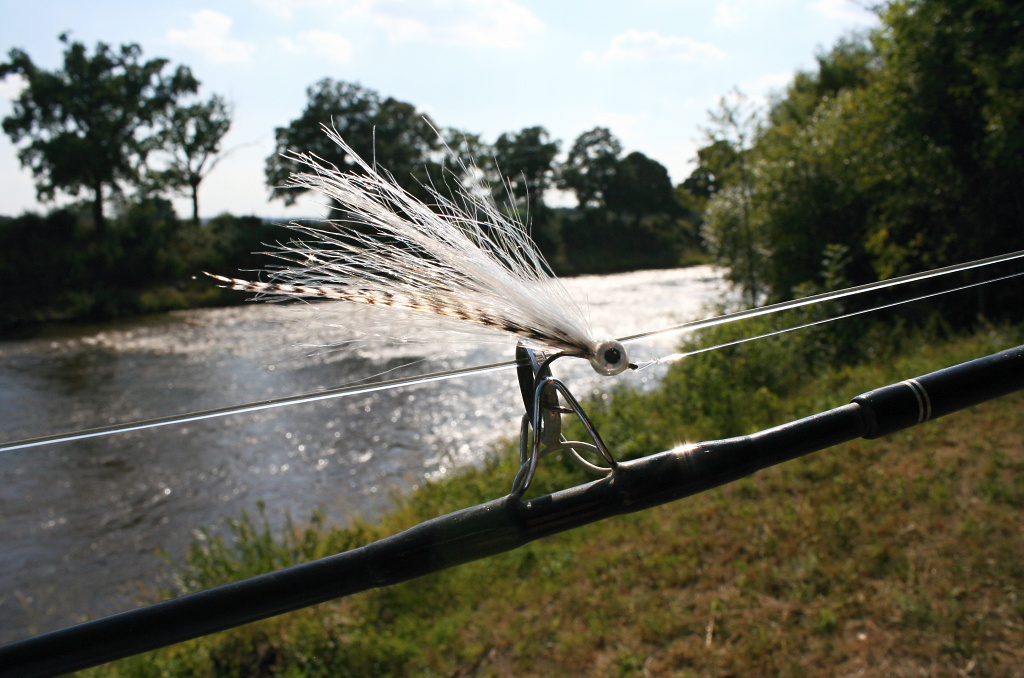 Fly Fishing For Coarse Fish - Book