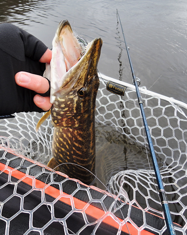 Fencl Landing Nets, Products In Action