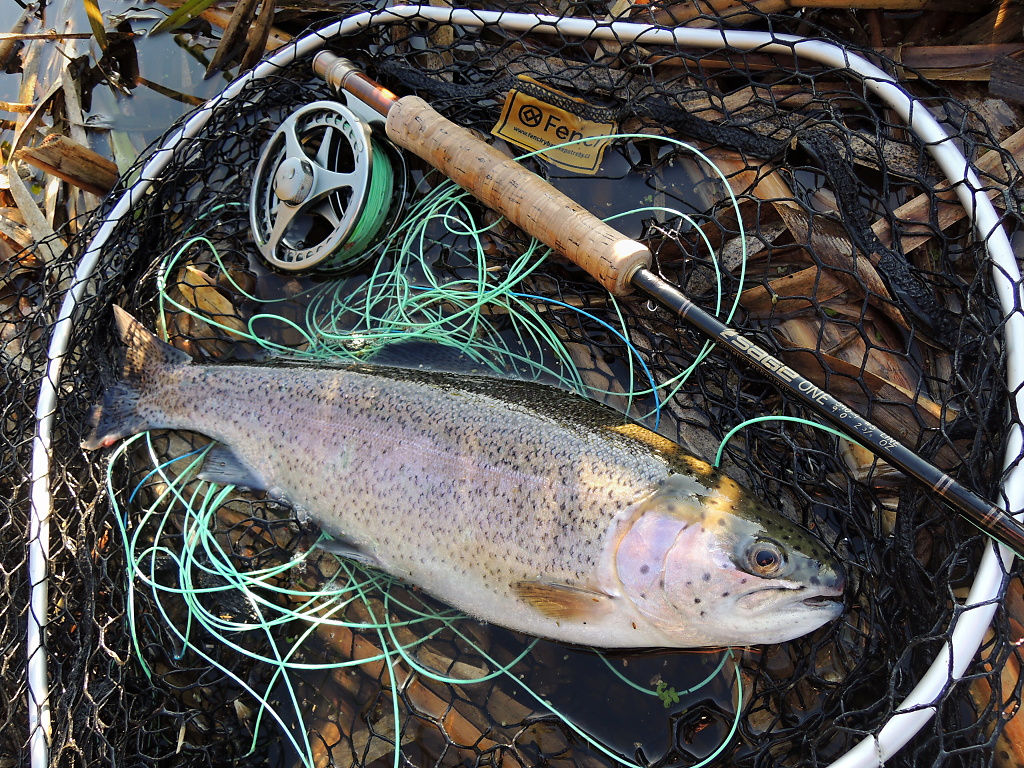 https://www.czechnymph.com/data/web/gallery/ales-bukacek/fly-fishing-landing-nets-fencl-in-action/3.jpg