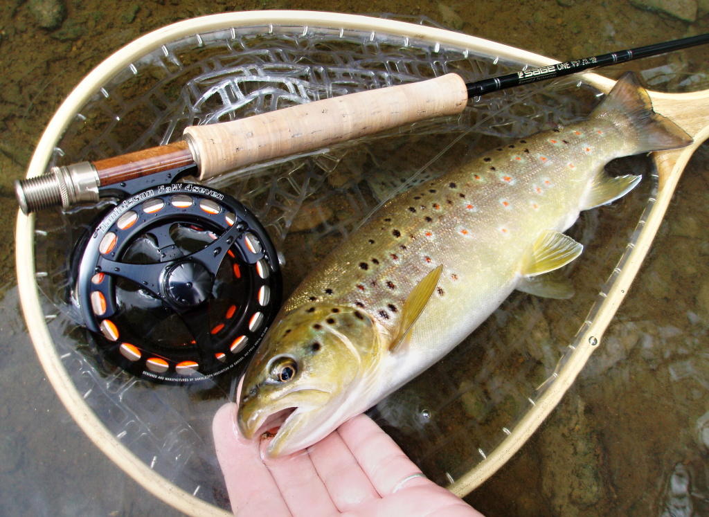 Landing net techniques - The Fishing Website