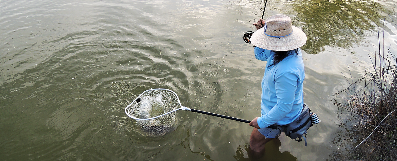 Fishing - Accessories - Landing Nets - Fish-Field