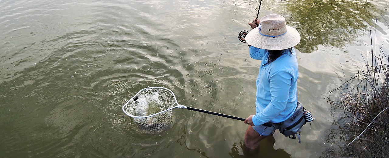 How To Choose The Right Landing Net, Landing Nets