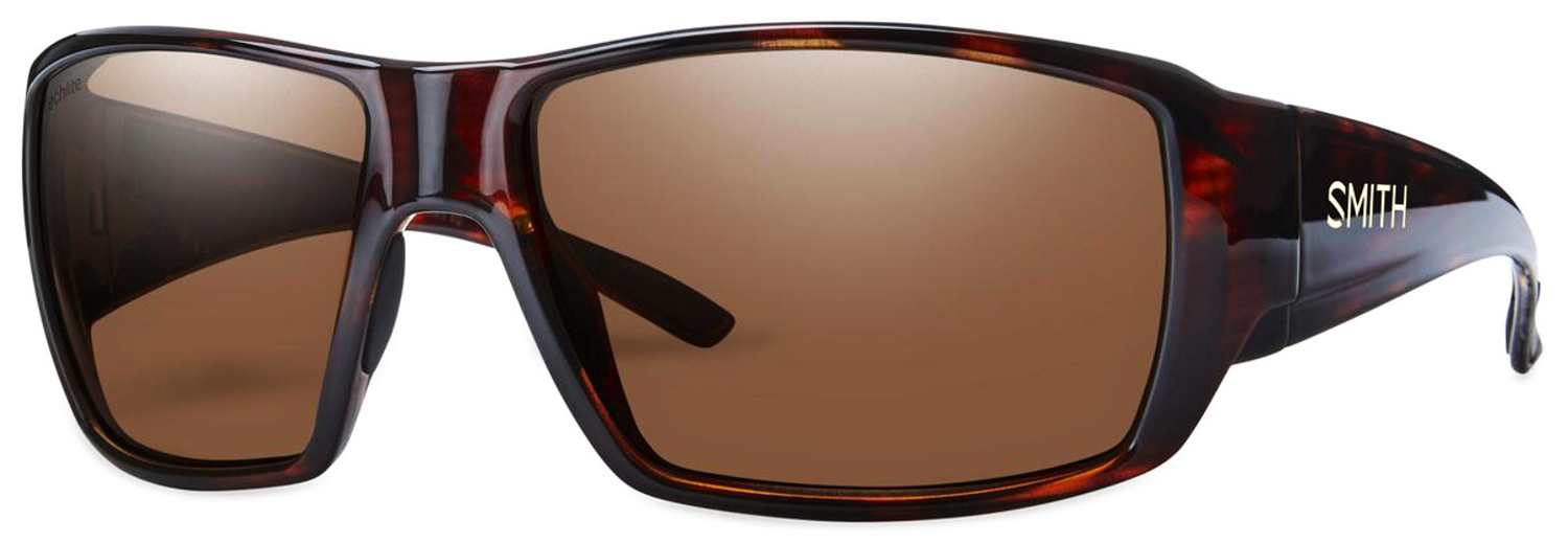 Polarised Glasses