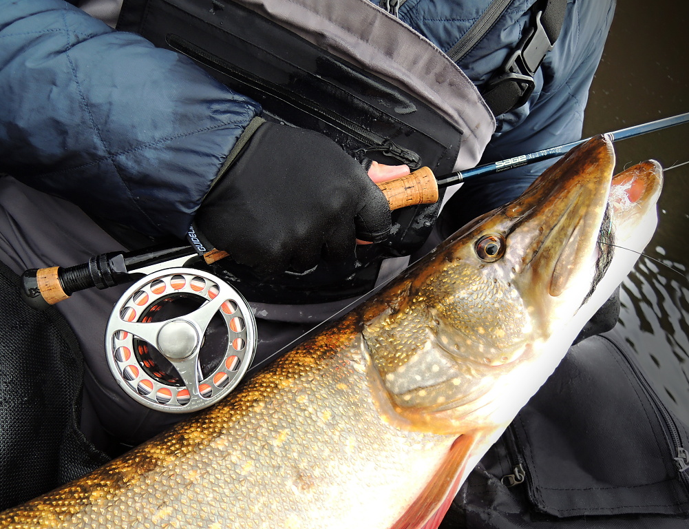 Pike On The Fly, Flies & Fly Fishing Gear