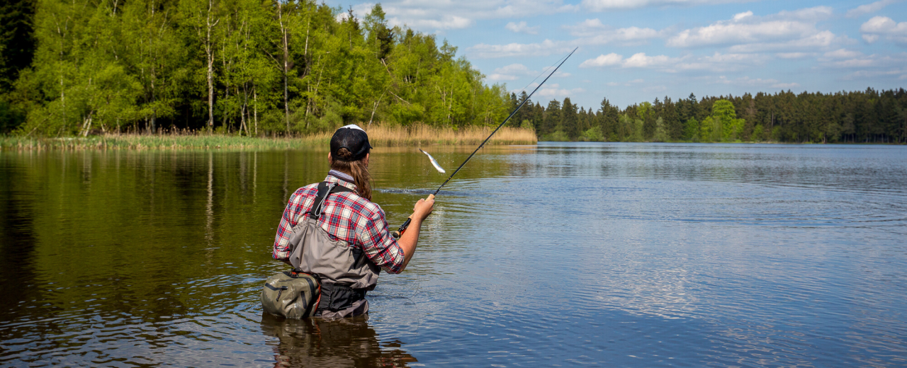 Stillwater Fly Fishing, Tactics & Techniques