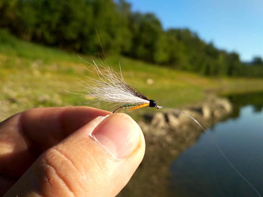 Terrestrials River Fly Fishing Black Ant Stillwater Classic Trout Dry Flies 