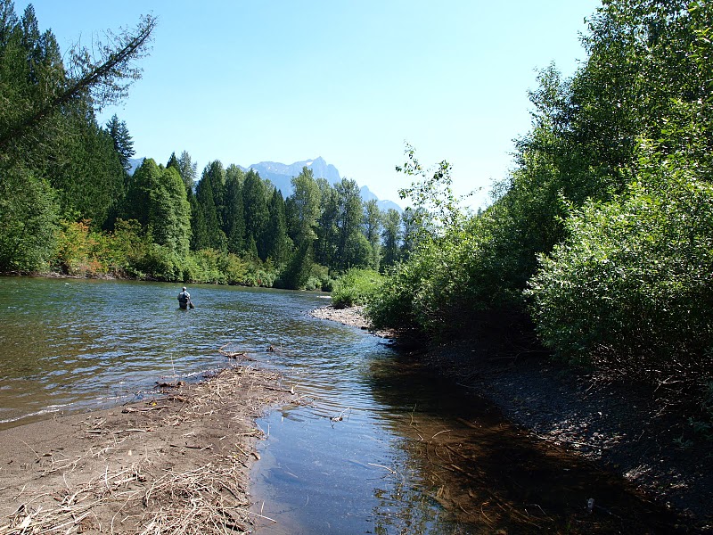 Skagit River Fly Fishing Canada