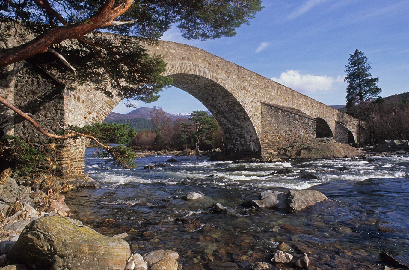 Rivers and Lochs of Scotland: The Angler's Complete Guide See more