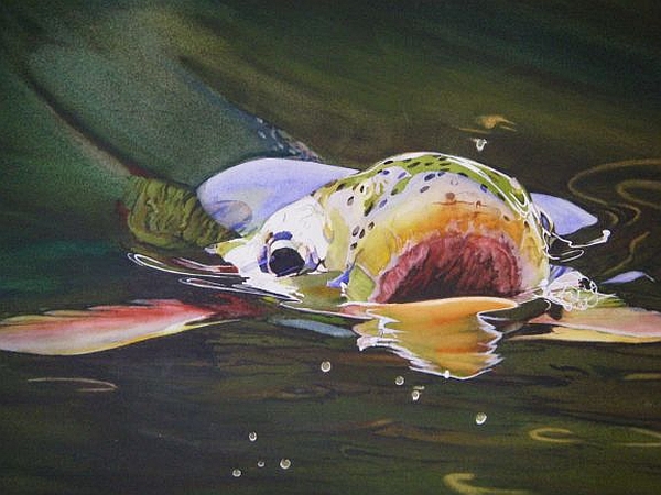 Fly clearance fishing art