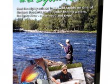 Salmon Summer on the Byske River