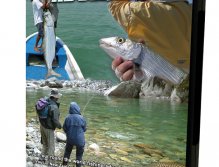 Fly fishing Adventures