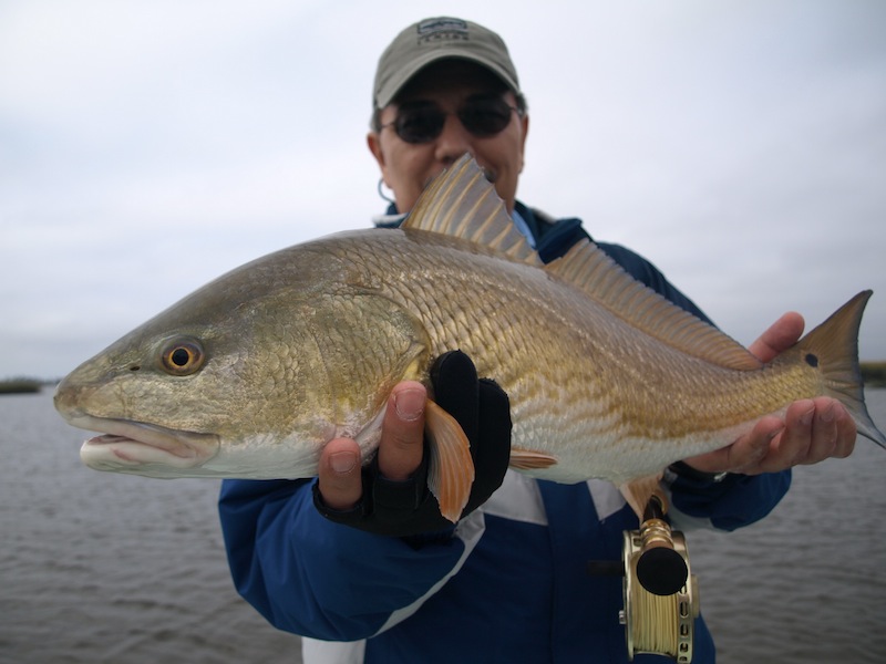 Redfish