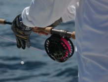 Rod and reel in ready position