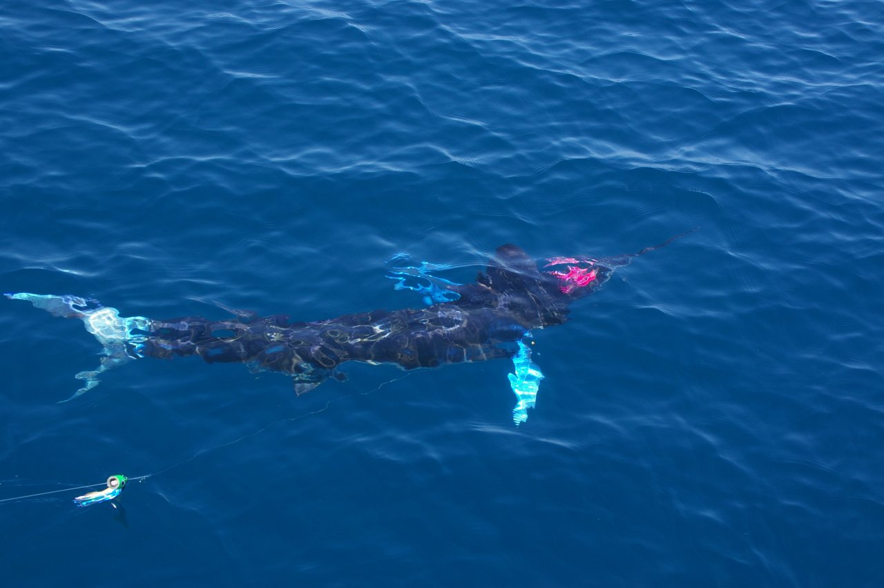 Lit up for the release